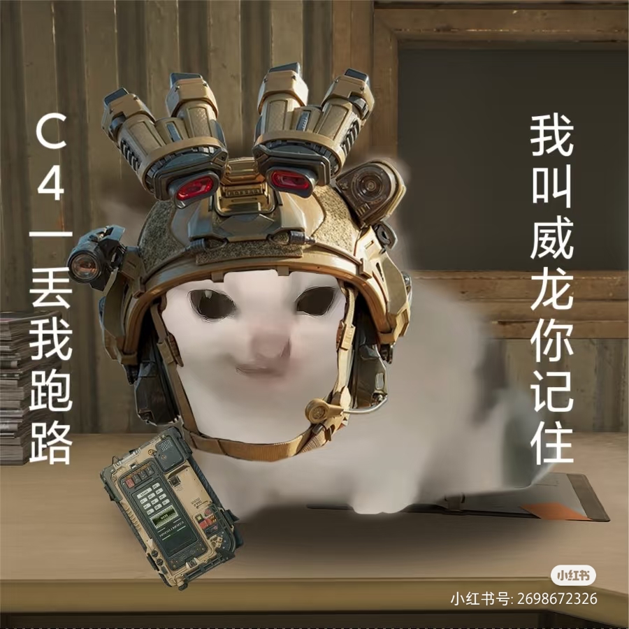 威龙