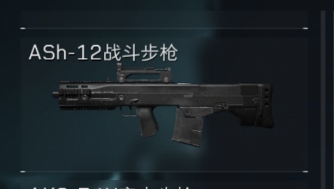 ASh-12战斗步枪