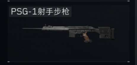 PSG-1射手步枪
