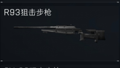 R93狙击步枪
