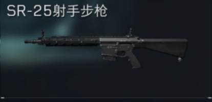 SR-25射手步枪