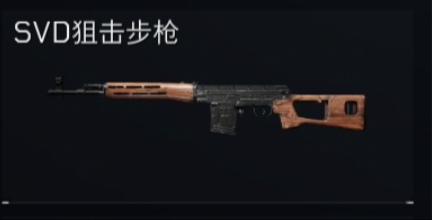 SVD狙击步枪