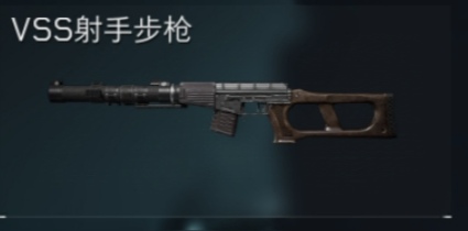 VSS射手步枪
